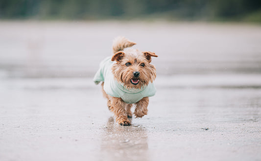 PAIKKA kylpytakki 2Go Sage