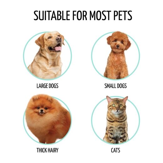 Tauro Pro Line pyöreä karsta harja