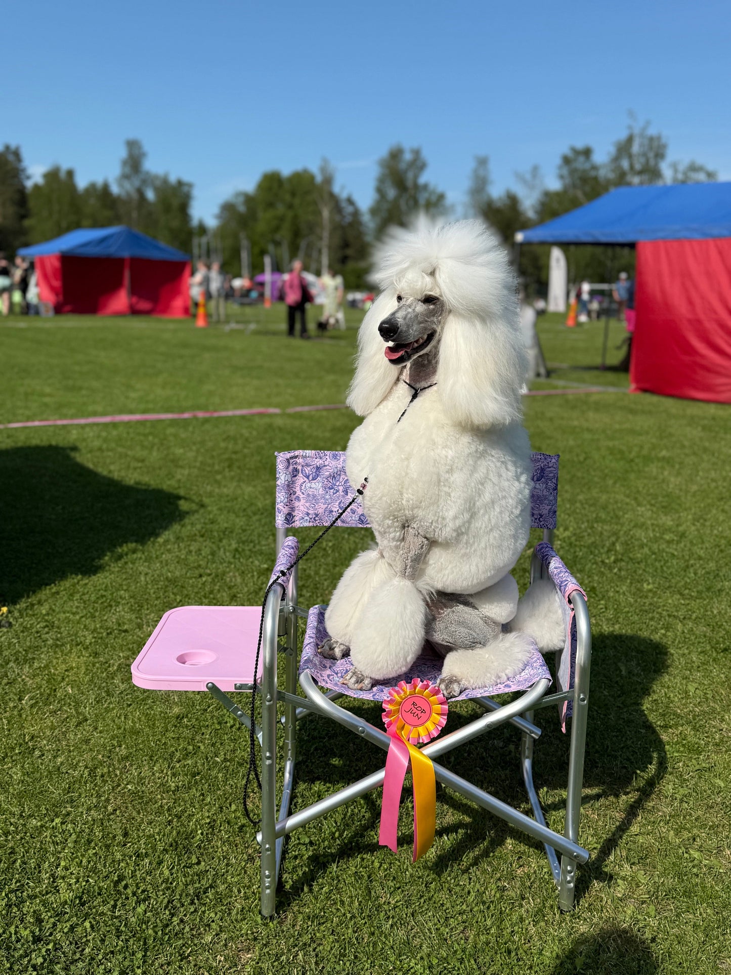 Tauro kokoontaitettava tuoli taittopöydällä