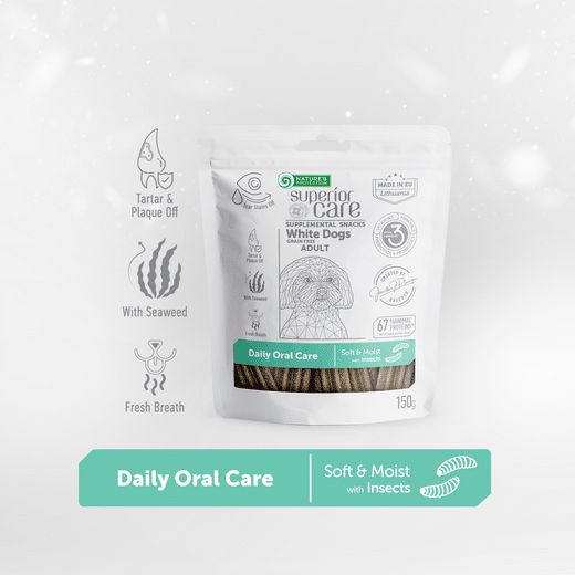 Natures Protection Dental White Dog herkkutikku hyönteinen 150g