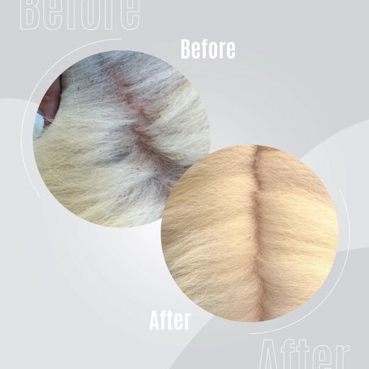 TAURO Pure Nature ravitseva turkkiöljy 30 ml