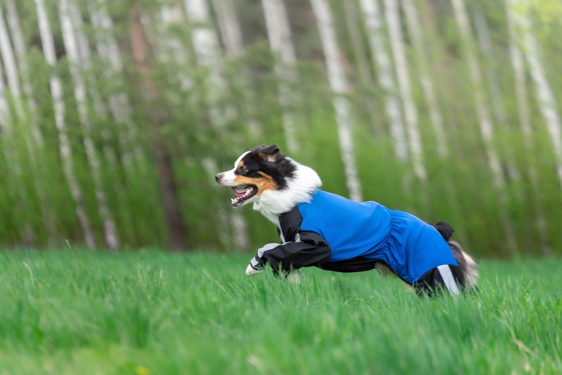 Janutex haalarit ja sovitukset