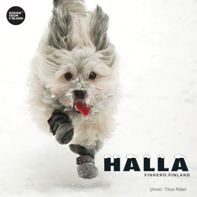 Halla-tossut heijastimella