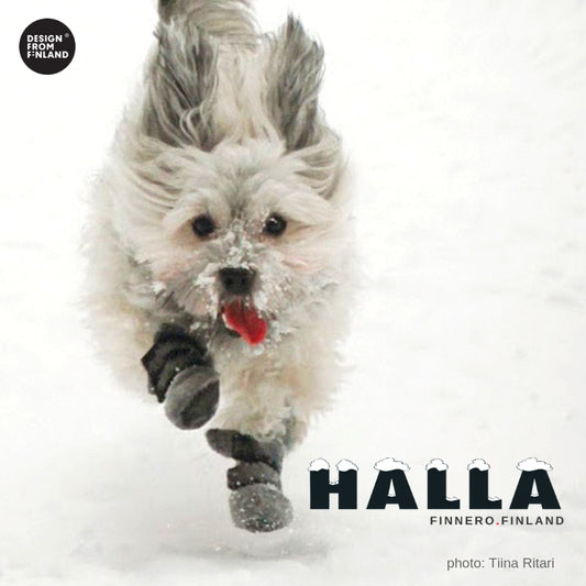 Halla-tossut heijastimella