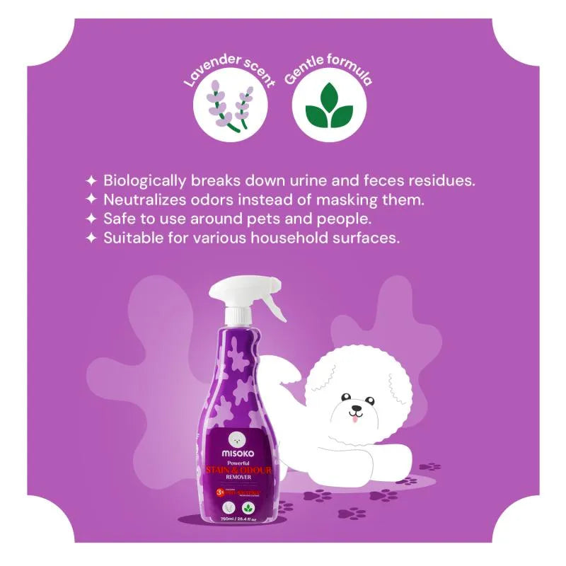 MISOKO Tahran- ja hajunpoistoaine 750 ml
