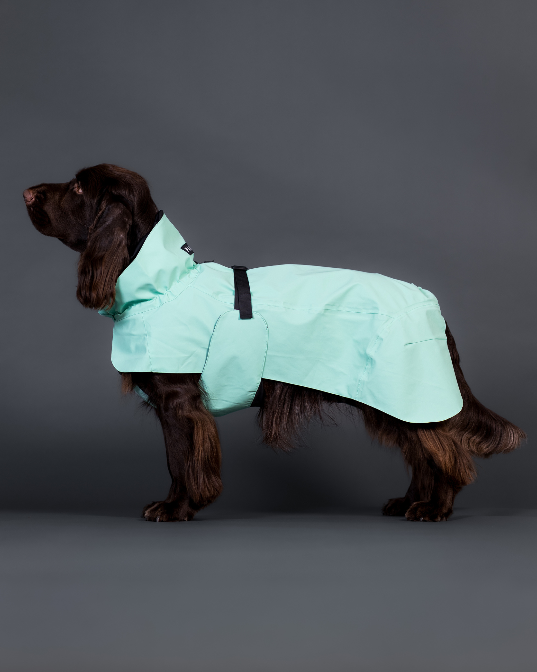 Paikka Sadetakki Cabbage, heijastava kangas