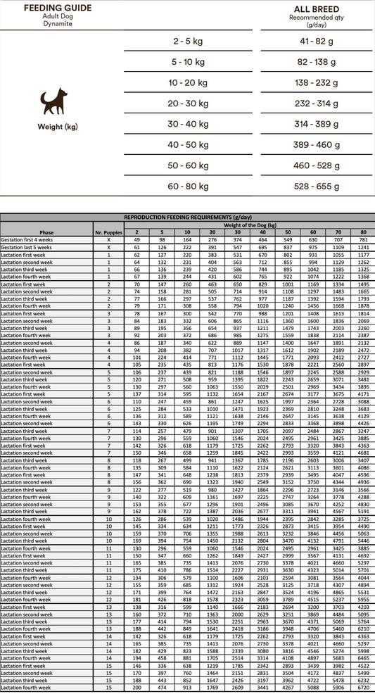 Monster Original Dynamite