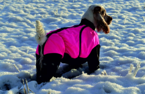 Janutex toppahaalari Pallo