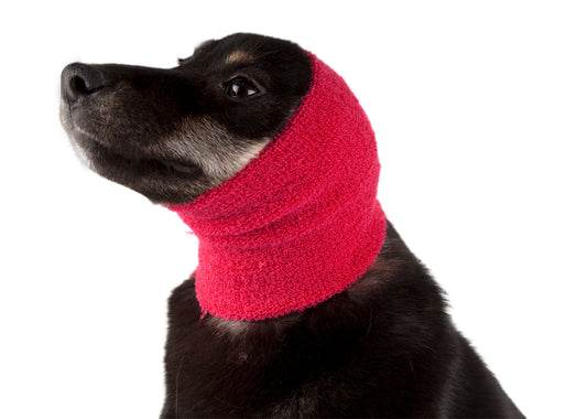 Ear Buddy froteepanta (korvahuppu) Pro Pack 4 kpl