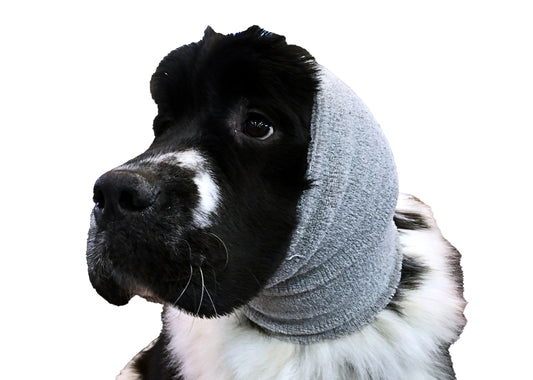 Ear Buddy XL froteepanta (korvahuppu)