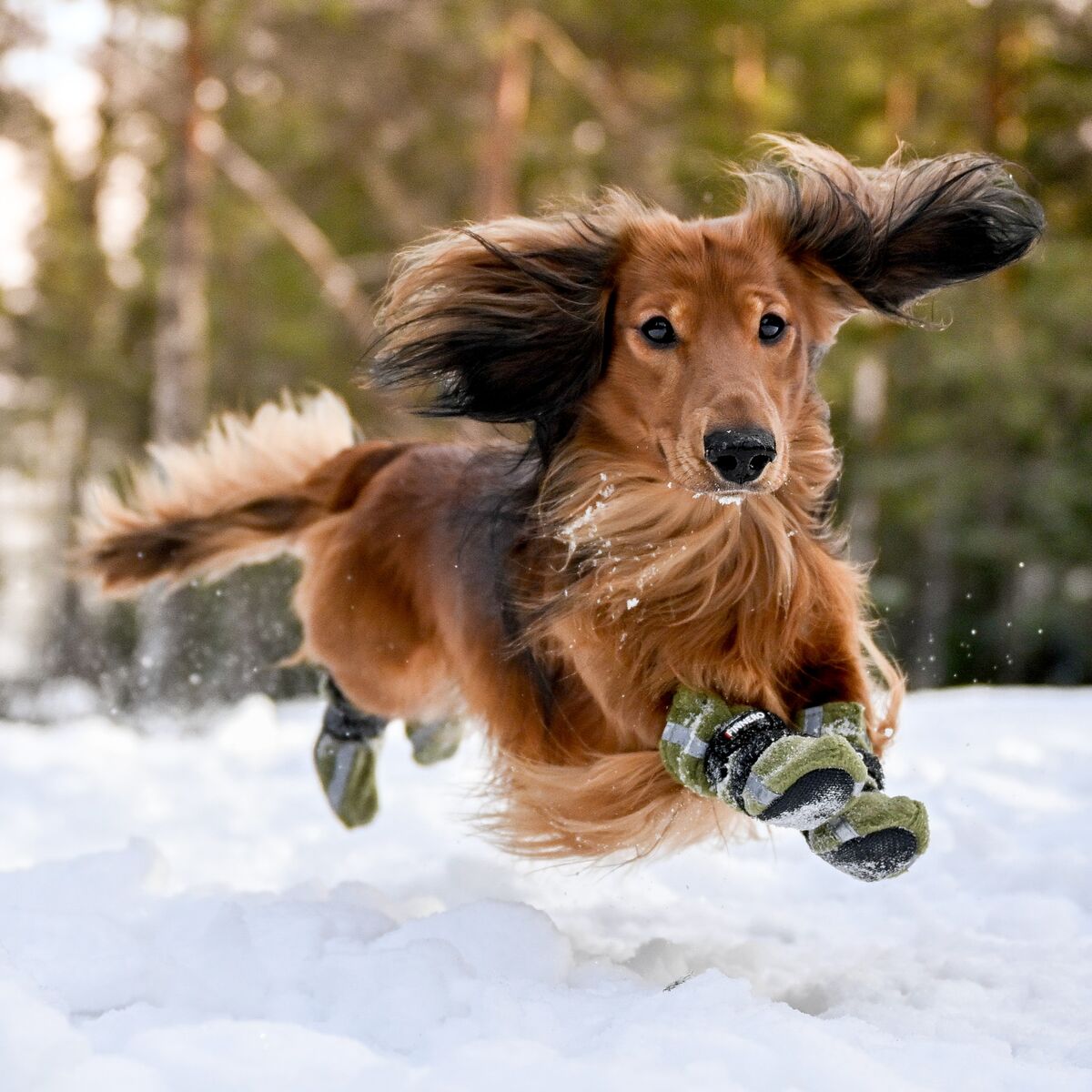 Halla-tossut heijastimella