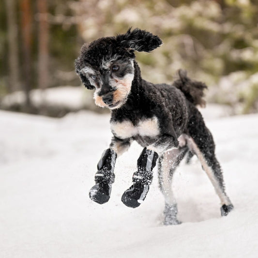 Halla softshell tossut heijastimilla