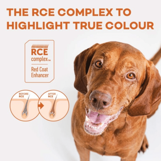 Natures Protection Red Coat Dog Lammas 4 kg