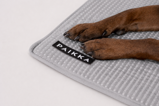PAIKKA Cooling Blanket Grey