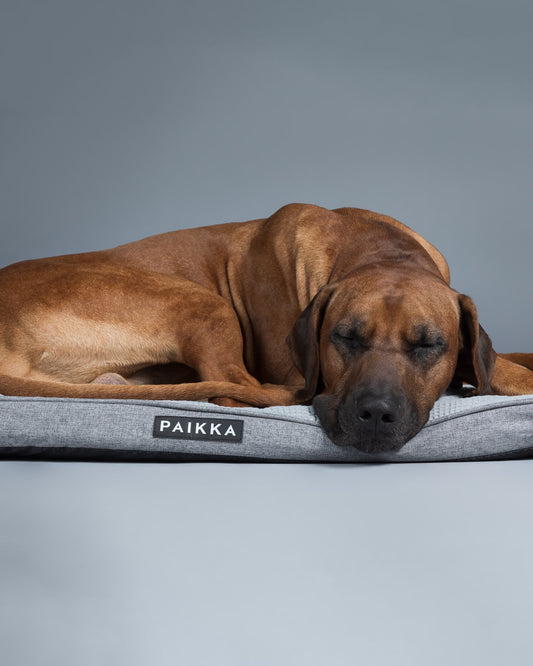 PAIKKA Cooling Orthopedic Mattress Grey