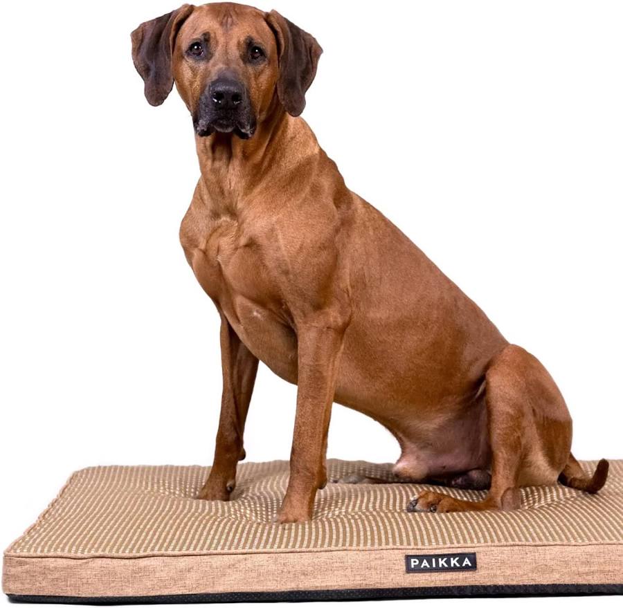 PAIKKA Cooling Orthopedic Mattress Taupe