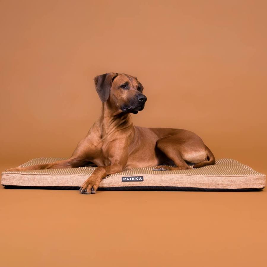 PAIKKA Cooling Orthopedic Mattress Taupe