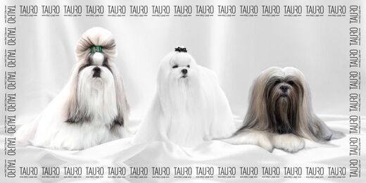 Tauro mikrokuitupyyhe 3 pientä koiraa