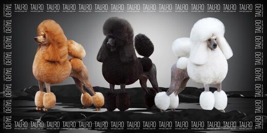 Tauro mikrokuitupyyhe villakoira