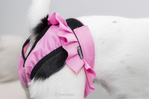 Pinkit Ballerina juoksuhousut valkoisella koiralla