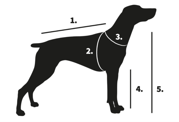 piirretty koira, jossa ohjeet janutex asujen mittaukseen